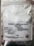 ILDONG Lactococcus lactis IDCC 2301